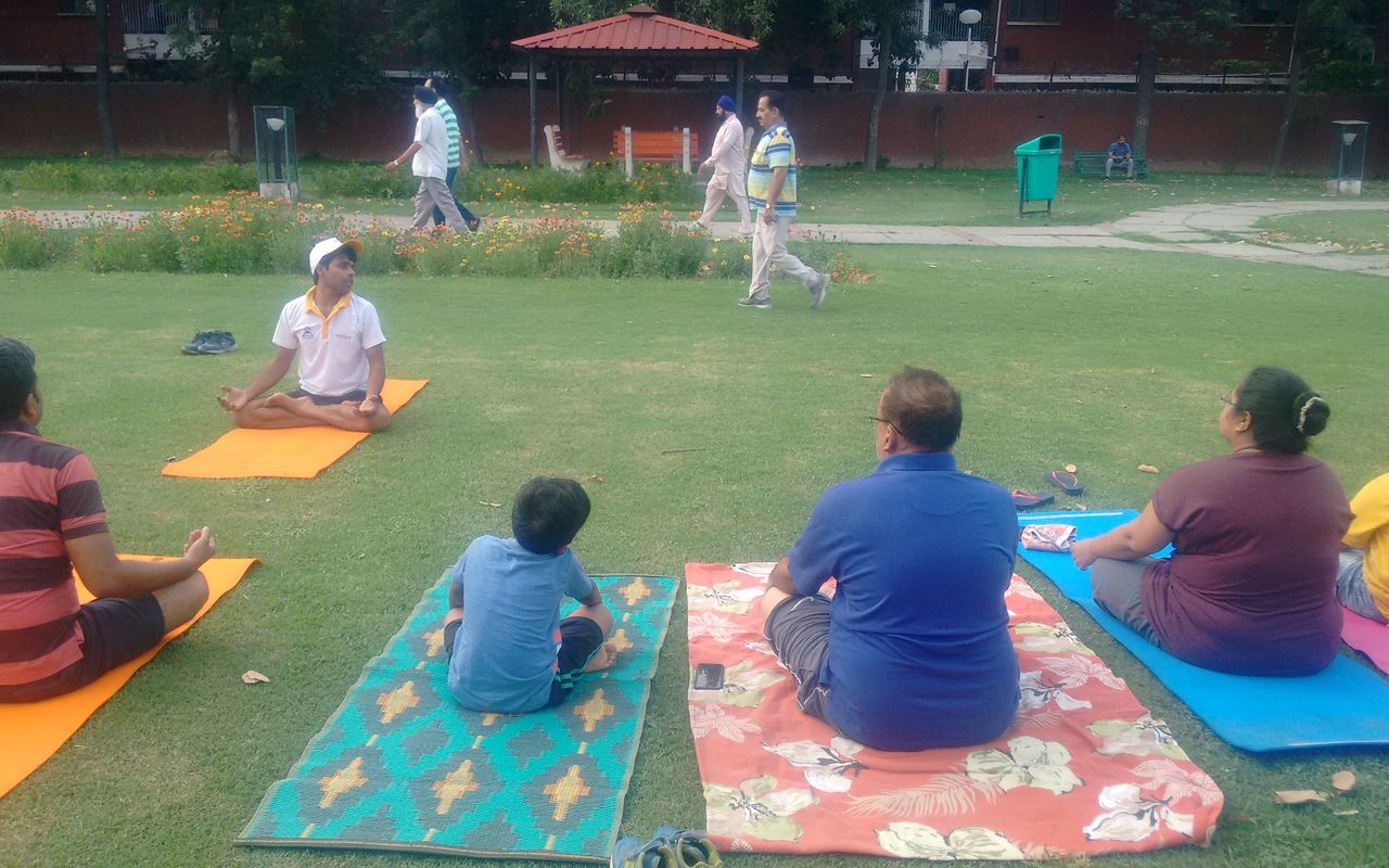An outdoor yoga session on mats in a park